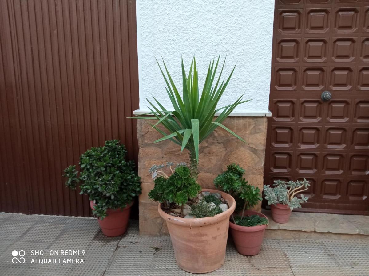 Apartamento Virgen De Villa Verde Ardales Esterno foto